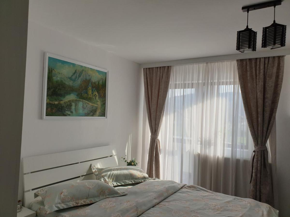Casa Tomsa Bed & Breakfast Rozavlea Exterior photo